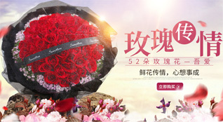 福建宁德福鼎市沙埕镇大白鹭村鲜花速递